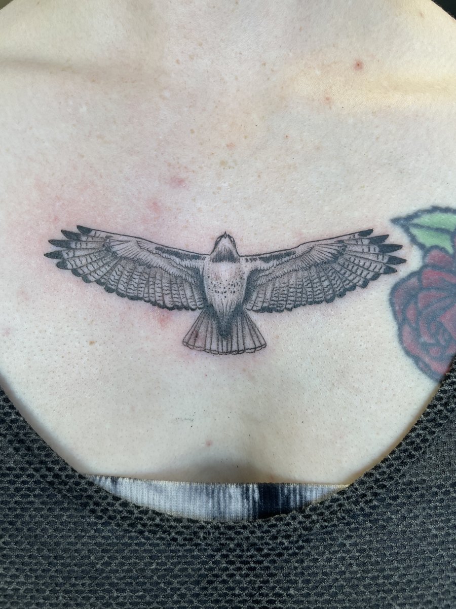 Hawk with spread wings by Lindsay, Kustom Tattoo Club